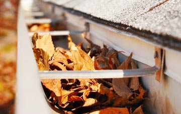 Dagworth gutter cleaning companies