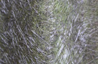 Dagworth fibreglass roof work